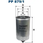FILTRON Polttoainesuodatin PP 879/1