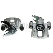 BUDWEG CALIPER Jarrusatula 343528