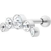 Wildcat 5 Crystals - barbell-lävistyskoru