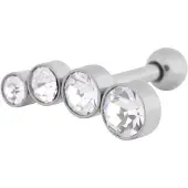 Wildcat 4 Round Crystals Right<!--640db79cbb187--> - Hopeinen metalli
