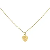 Wildcat Monstera Leaf Necklace - kaulakoru - Kultainen metalli
