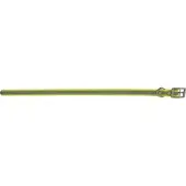 Grännakopplet Dog collar 19mm 45-55 cm Neon Yellow