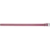 Grännakopplet Dog collar 25mm 55-65cm Neon pink