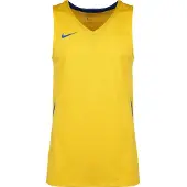 Nike Toiminnallinen paita 'Team Stock 20' kuninkaallisen sininen / keltainen