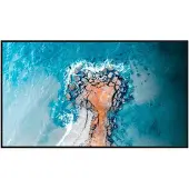 Hisense 55DM66D 55" 4K infonäyttö