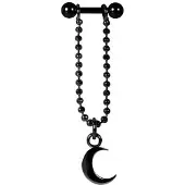 Wildcat Moon<!--63fdcbd55ae02--> - Musta metalli