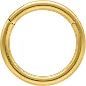 Wildcat Hinged Ring - saranallinen lävistysrengas (titaani) - 0,8 mm, Kultainen metalli, 6,0 mm