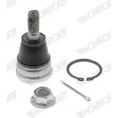 Monroe Pallonivel L16J36