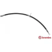 Brembo Jarruletku T 23 041