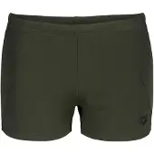 Arena Graphic Swim Uimashortsit