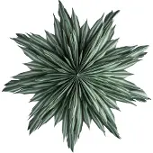 Watt & Veke Helena adventtitähti Ø44 cm Green