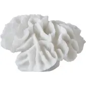 Mette Ditmer Coral gills
