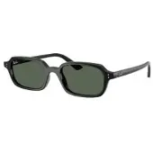 Ray-Ban Zuri - RB4455 667771 4919