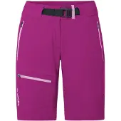 Vaude Badile Ii Shortsit