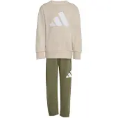 Adidas Treenipuku beige / beigenharmaa / oliivi