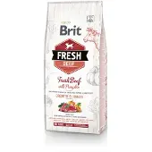 Brit Fresh Beef - Pumpkin Puppy Large -kuivaruoka suurikokoisille pennuille, 12 kg