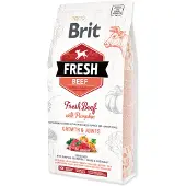 Brit Fresh Beef&Pumpkin PuppyLarge
