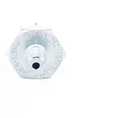 Bosch Öljynpainekytkin 0 986 344 090