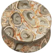 Wildcat Root - 22,0 mm