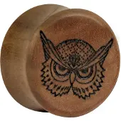 Wildcat Angry Owl on Olive<!--63f8c234c1c7e-->
