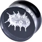 Wildcat Ecoli Plug - 24,0 mm