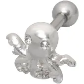 Wildcat Octopus