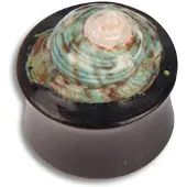 Wildcat Shell Buffalo Horn Green - 18,0 mm