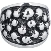 Wildcat Skull - 56