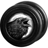 Wildcat Raven Right<!--63f75c29bc04d-->