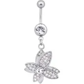 Wildcat Jewelled Butterfly