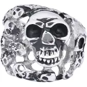 Wildcat Skulls - 56