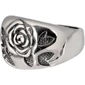 Wildcat Rose