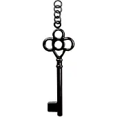 Wildcat Black Key