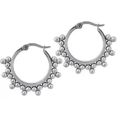 Wildcat Ornaments Earrings<!--6400433a649e6-->