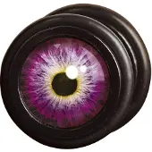 Wildcat Dragons Eye