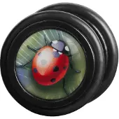 Wildcat Ladybird<!--63f30dfa7aa8b-->