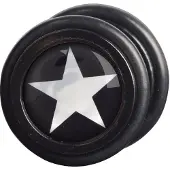 Wildcat Silver Star