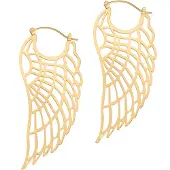 Wildcat Wing Hoops<!--63fd861eeacde-->