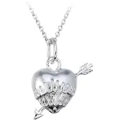 Wildcat Flaming Heart with Arrow
