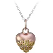 Wildcat Flaming Heart