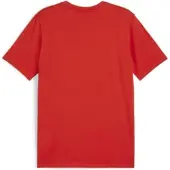Puma T-paita Teamgoal Casuals - Punainen/valkoinen Lapset, koko YM/140 cm