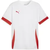 Puma Toiminnallinen paita 'TeamGoal Matchday' punainen / valkoinen