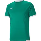 Puma Toiminnallinen paita 'TeamLIGA' smaragdi / valkoinen