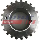 Fast Sports Nutrition Gear/Sprocket, camshaft