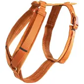 Kentucky Active Velvet Koiran Valjaat
