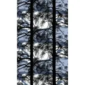 Vallila Kelohonka-kangas 150 cm