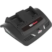 Briggs&Stratton B&S Twin 18V, Charger (3A) - Eu