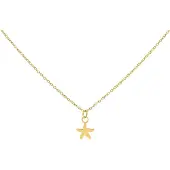 Wildcat Little Starfish Necklace - kaulakoru - Kultainen metalli