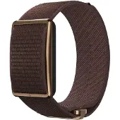 Polar Loop