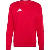 Adidas Entrada 26 Sweat Collegepaita